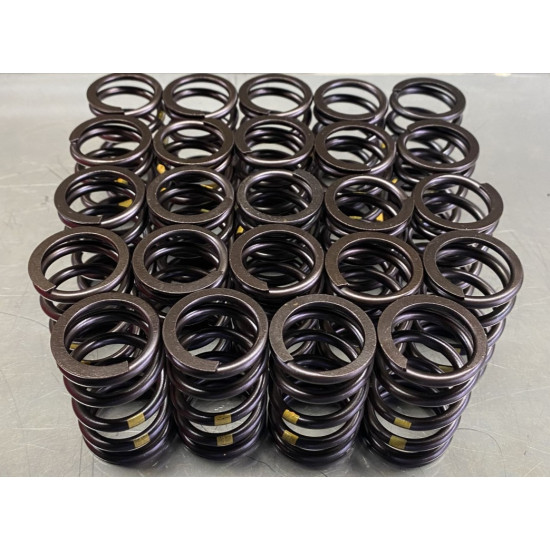 Single Valve spring set 6-Cyl. 320 - 325i E 36 24V (M50 & S50)