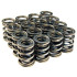 VALVE SPRINGS - K-SERIES DOHC IVTEC