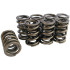 Valve spring set Fiat 1,4 T-Jet