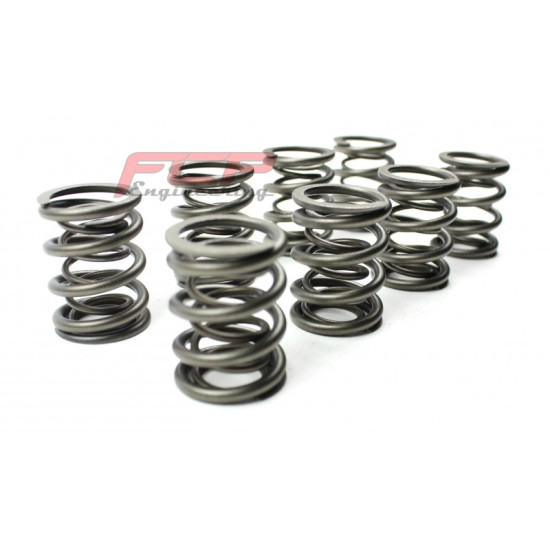 AUDI / VW 1.9 TDI (NOT PD/CR) FCP VALVE SPRING SET AUDI / VW 1.9 TDI (NOT PD/CR) FCP VALVE SPRING SET