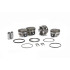 Forged Piston Set Premium Series 81.5mm 11.8:1 B16/B18C 11.3:1 B18B