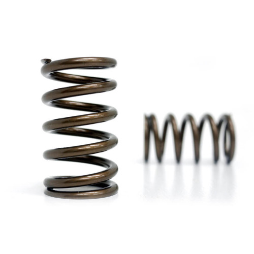 Toyota 1JZ-GTE Valve spring set