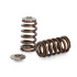 NISSAN RB25 NEO BEEHIVE SPRING AND TI RETAINER SET