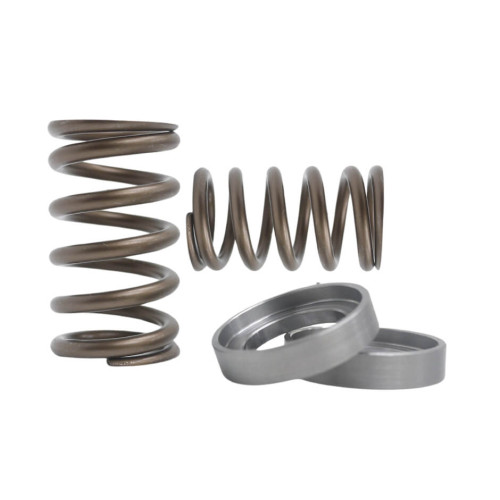 NISSAN VQ35 VALVE SPRING SET