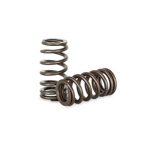 SUBARU EJ20 STi Version4 Spring set