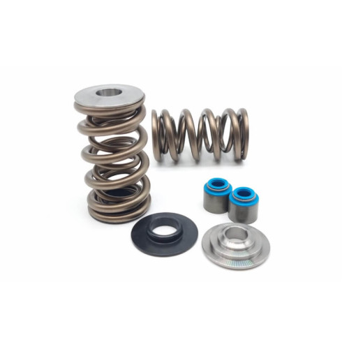 LS Dual 1204X Springs, Ti Retainers, Locators & Stem seals