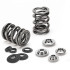 BMW S54 Dual valve spring kit:82lbs @ 41.00mm