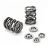 Honda B-series Dual Valve Spring Kit: 70lbs@33.5mm 