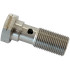 Stainless Steel Banjo Bolt M10 x 1.25mm -  20mm