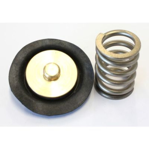 Replacement Fuel Pressure Regulator Diaphragm - Suit AF66-2055