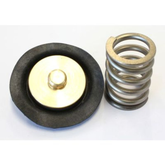 Replacement Fuel Pressure Regulator Diaphragm - Suit AF66-2055